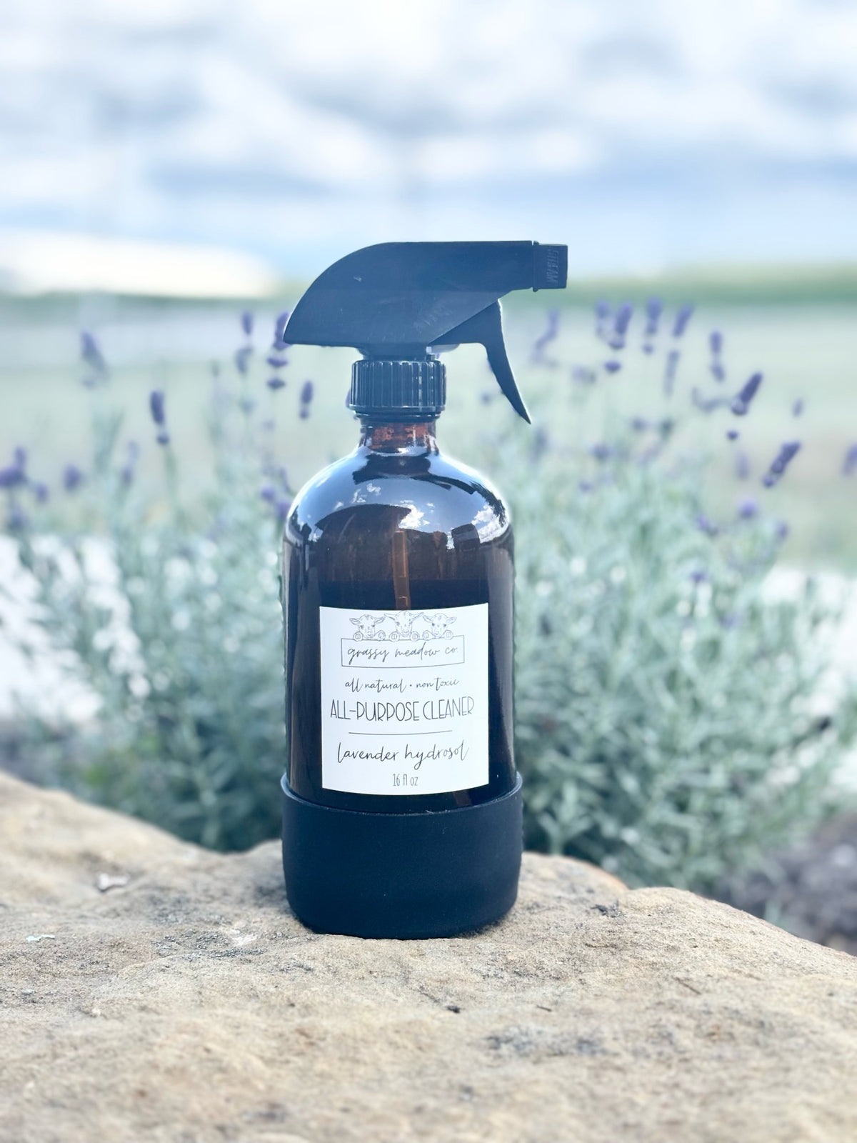 Lavender Hydrosol