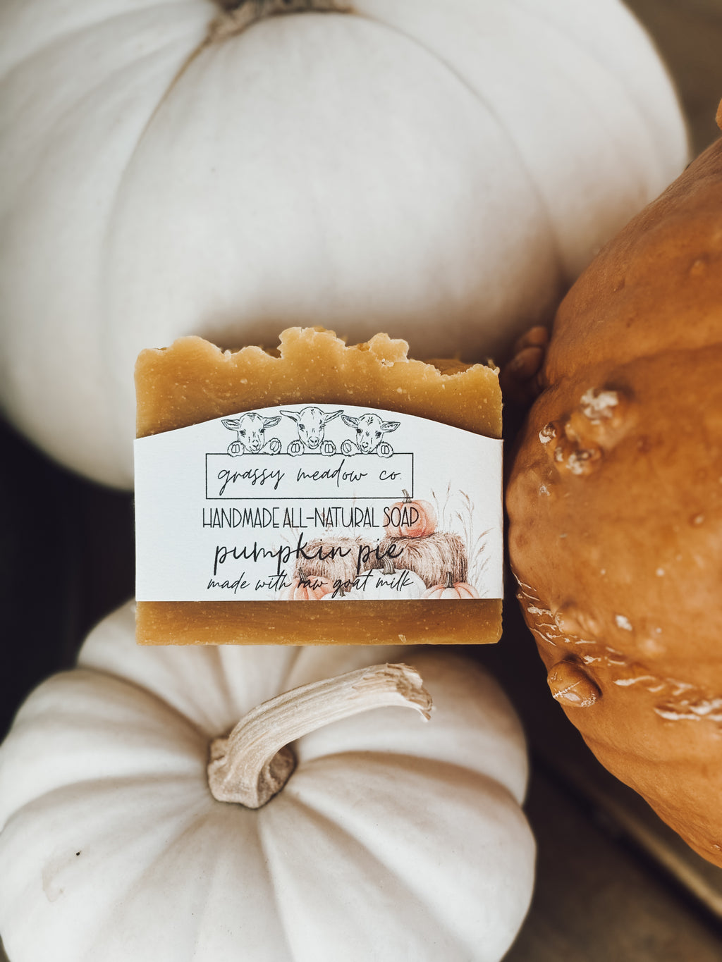 A rectangular bar of handmade soap labeled 'pumpkin pie' by Grassy Meadow Co, styled with white and orange pumpkins in a cozy autumn setting.