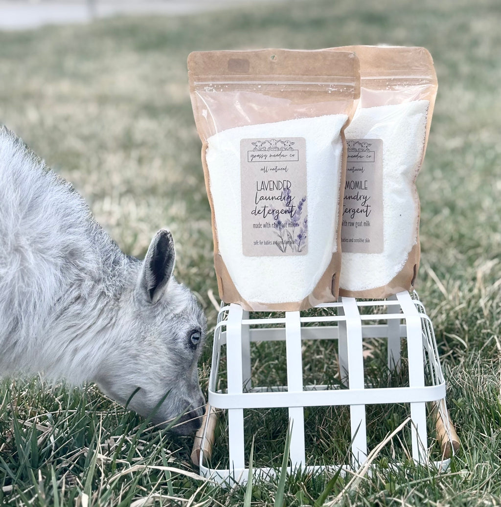 Two stand-up Refill pouches of Lavender Laundry Detergent and Chamomile Laundry Detergent by Grassy Meadow Co. are displayed on a white wire stand in a grassy field, with a goat sniffing the products in the foreground.