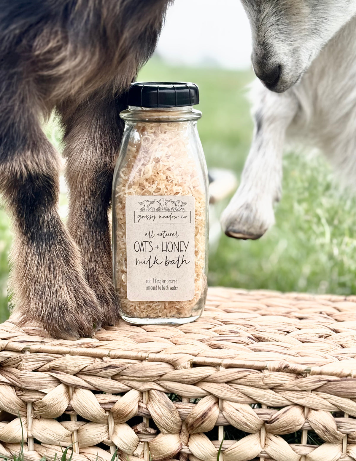 A glass bottle of 'grassy meadow co' Oats + Honey Milk Bath sits on a woven straw mat outdoors, with a goat's front hooves on the left and the goat's head on the right, against a soft-focus green grassy background.