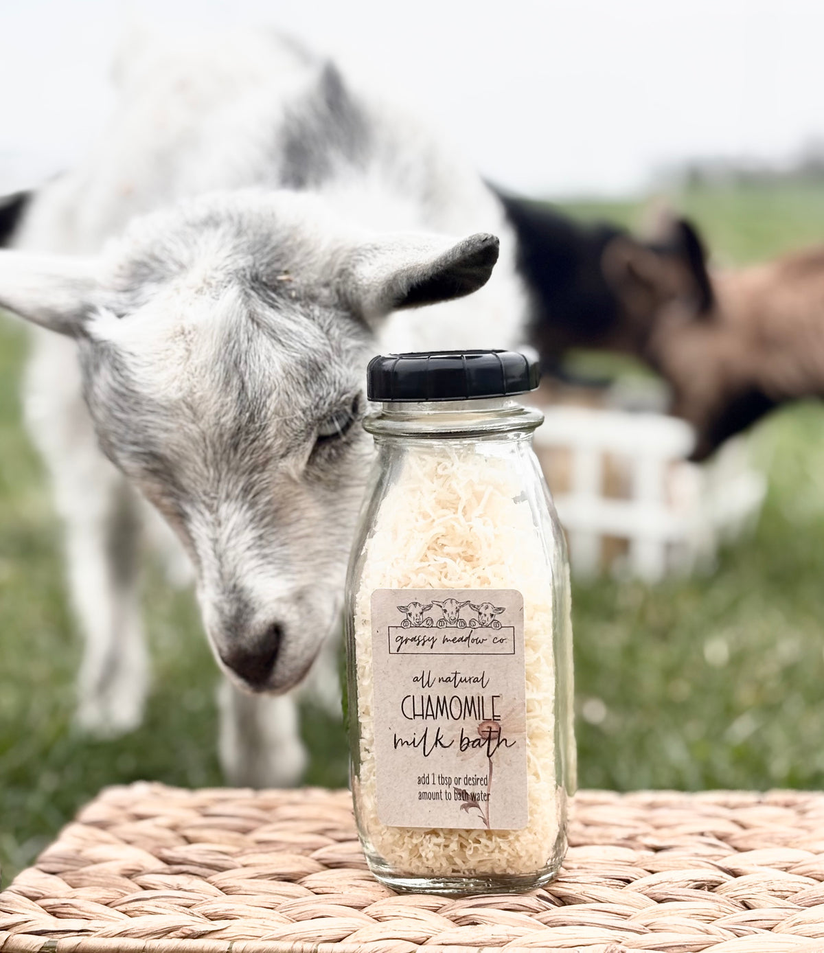 A glass jar of Grassy Meadow Co. chamomile milk bath sits on a woven wicker surface outdoors, with a goat in soft focus behind it on a grassy field.