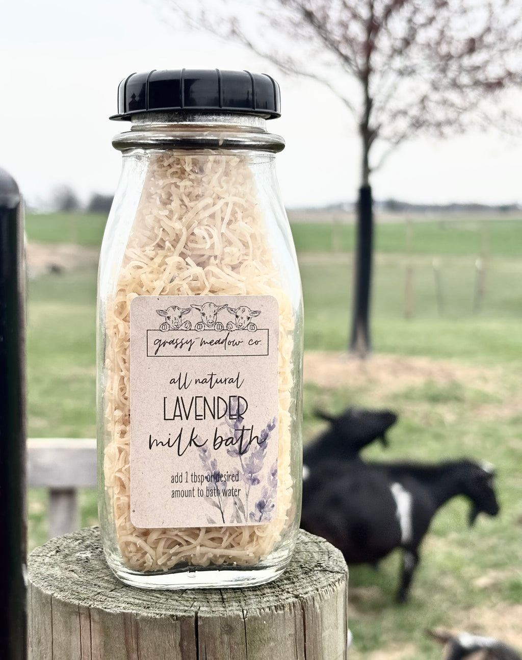 A clear glass bottle filled with shredded pale lavender milk bath sits on a wooden post in an outdoor farm setting, with a black goat visible in the blurred background. The bottle has a black lid and a paper label reading 'grassy meadow co' and 'all natural LAVENDER milk bath'.