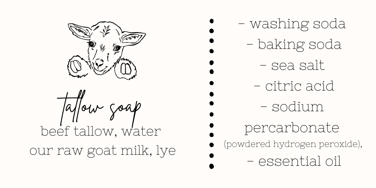 A simple ingredient list graphic for tallow soap on a light cream background. A small black line drawing of a Goat face appears on the left, with the words 'tallow soap' and 'beef tallow, water, our raw goat milk, lye' below it.